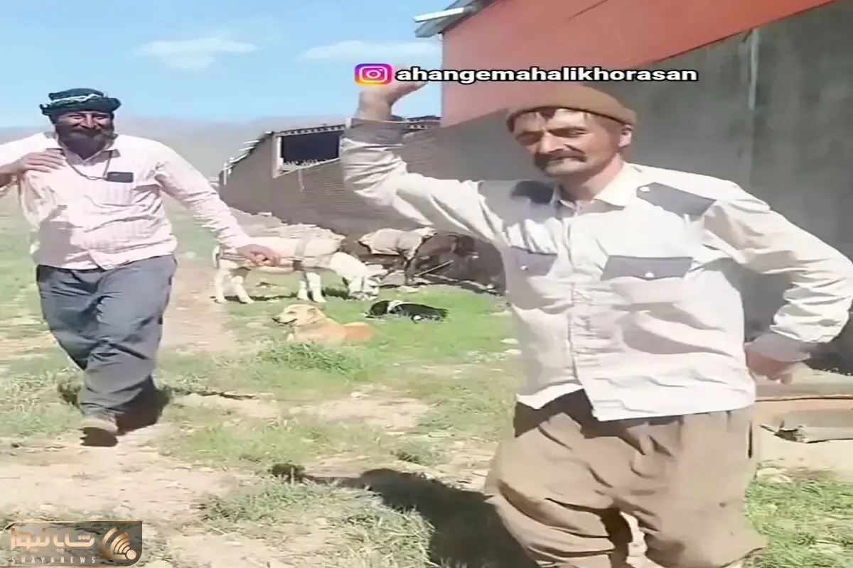 آواز شاد؛ پیرمردای چوپان مسابقه ی رقص گذاشتن خراشون هم این وسط داورن چه رقص پایی