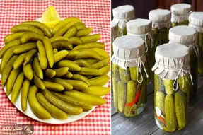 طرز تهیه خیارشور ترد و خوشمزه / یه روش عالی برای اینکه خیارشور خِرچ خِرچی درست کنی