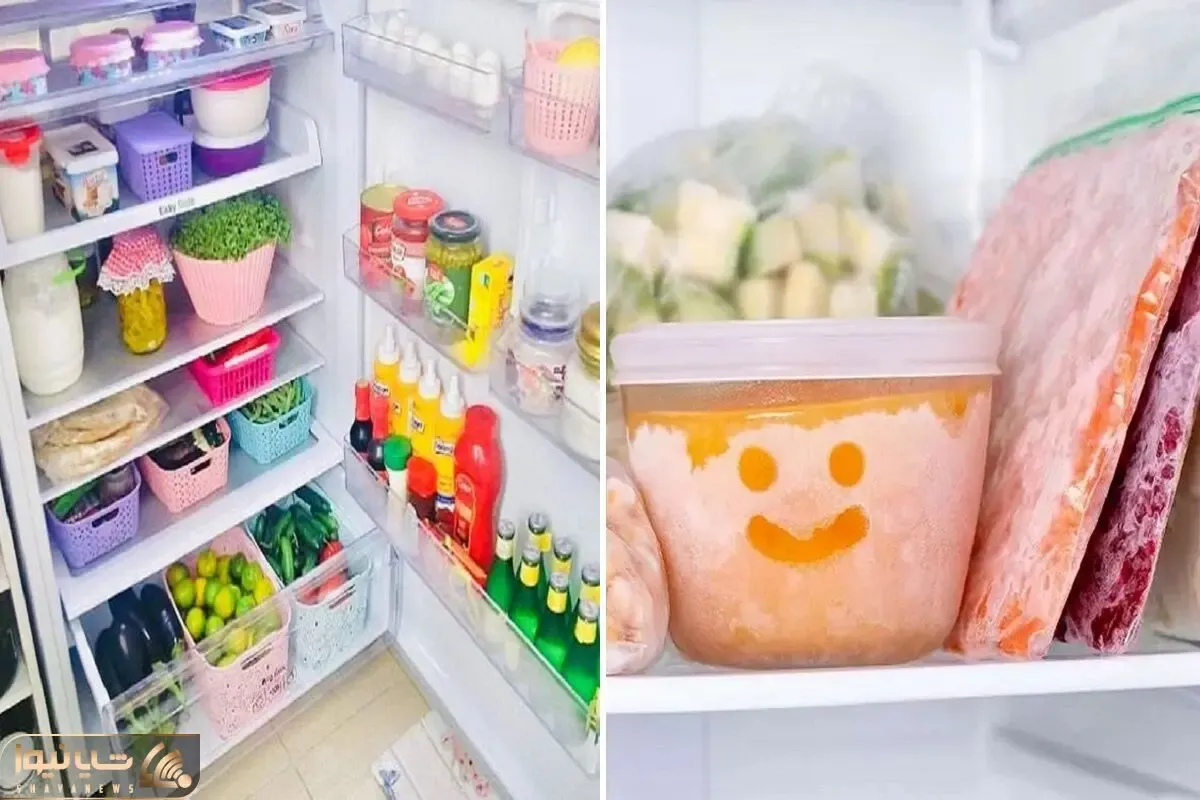اصول نظم دهی و چیدمان یخچال و فریزر / کدبانو که باشی اینجوری انجامش میدی تمیز و مرتب