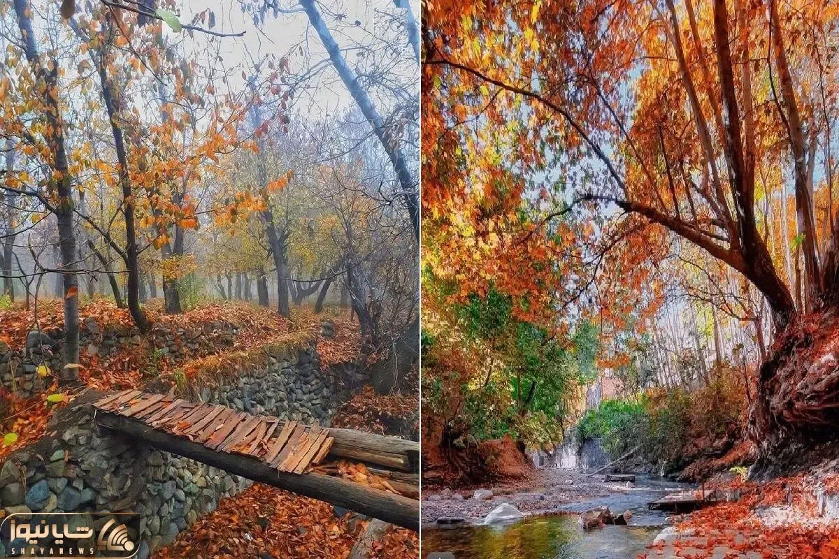 زیباترین روستاهای جاده چالوس در پاییز / تو هوای ملس اینا خش خش برگا زیر پات حال میده