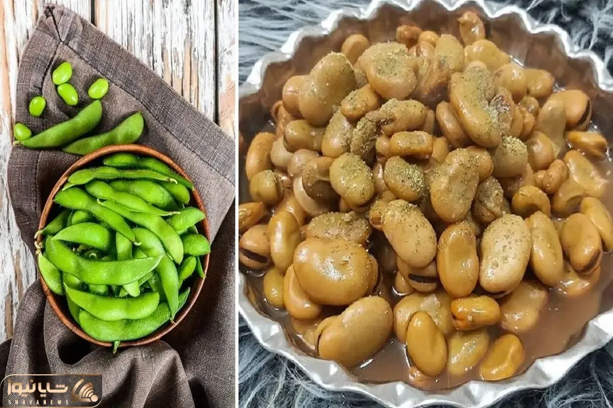 طرز تهیه باقالی پخته به روش بازاری + همه فوت و فن های پخت یه باقالی خوشمزه