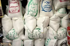 رونمایی از برنج ۳۰۰ هزارتومانی؛ قیمت برنج تا کجا بالا می‌رود؟