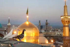 آواز احساسی؛ زائر قلب شکسته چه با هق هق آهنگ قربون کبوترای حرمت رو تو صحن میخونه