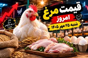 قیمت مرغ امروز شنبه 25 مهر 1405 /  مرغ کامل چقدر شد؟