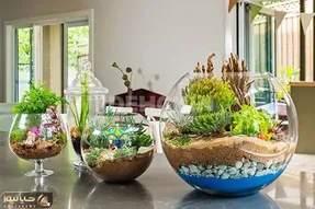 ایده های خلاقانه؛ سبزه تو تنگ رو از دور میبینی میگی یا خدا چه سخته؟ بیا آسون یادت بدم