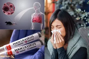 هانتاویروس از چه حیوان و کشوری متولد شد و چقدر مرگ و میر دارد؟ به ایران رسیده؟