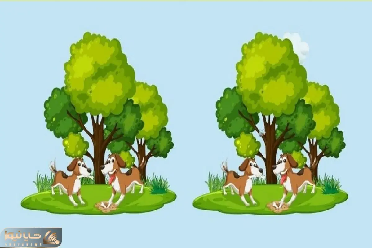 بازی فکری؛ تیزبینی و میخوای ثابتش کنی؟ با پیدا کردن 3 تا تفاوت تصویر خودتو نشون بده