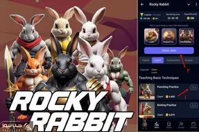 کارت های راکی رابیت (rocky rabbit) امروز دوشنبه 12 شهریور + آموزش وارد کردن