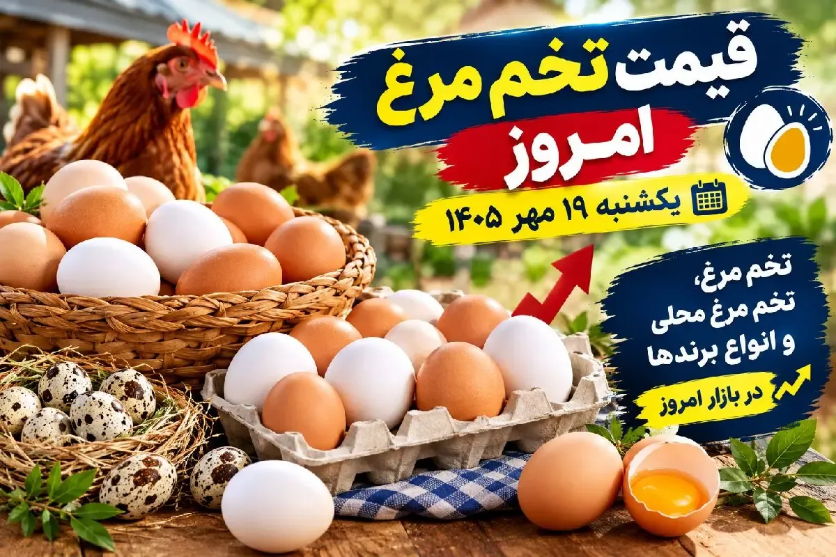 قیمت تخم مرغ امروز یکشنبه 19 مهر 1405 / افزایش قیمت شانه ها