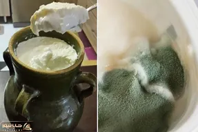 ماست خوشمزت هی خراب میشه تو رو حرص میده؟ با ترفندای نگهداری کپک از کنارشونم رد نمیشه