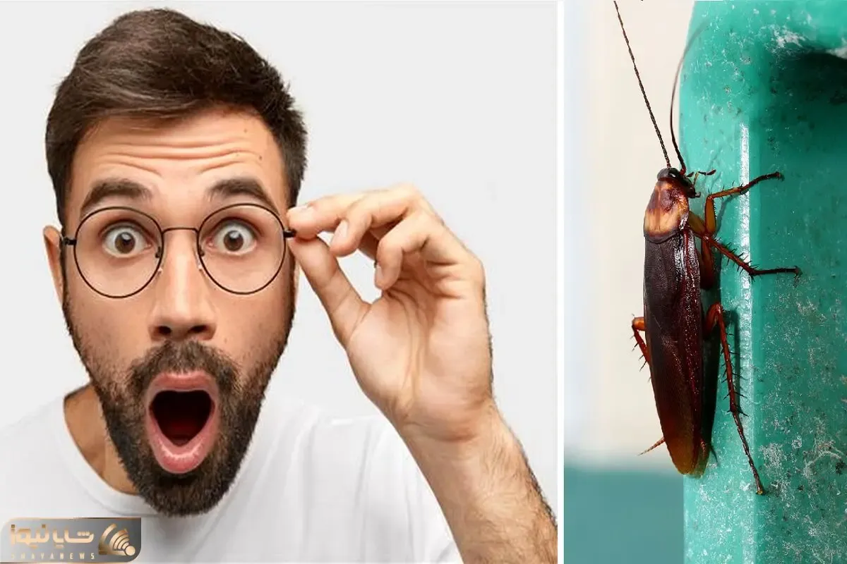 آگاه شو؛ تصورشم نمیتونی بکنی که اگه این موجود چندش نبود چی به سرمون میومد