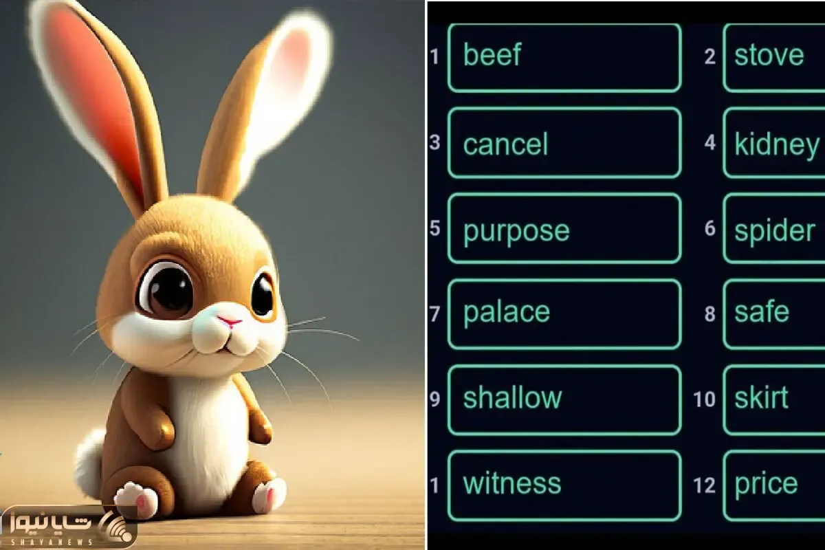کد انیگما راکی رابیت (ROCKY RABBIT) امروز شنبه 24 شهریور + آموزش وارد کردن