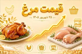 قیمت مرغ امروز چهارشنبه 25 شهریور 1405 / هر کیلو مرغ چقدر شد؟