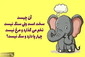 چیستان؛ اون چیه که سخته ولی سنگ نیس، تخم میذاره و مرغ نیس، چهارتا پا داره ولی سگ نیس؟