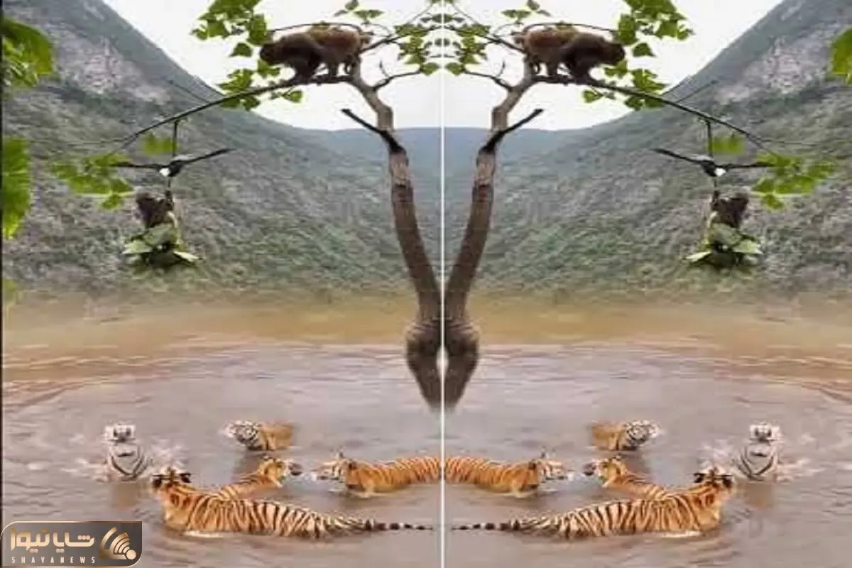 صحنه دهشتناک؛ میمون های لاجون همدیگه رو قربونی میکنن تا خودشون خوراک ببر شریر نشن