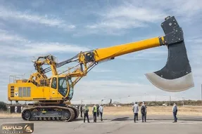 ابزارآلات غول پیکر؛ بیل مکانیکی غول برای کندن درخت کهنه و صاف کردن جنگل تبر غول شد