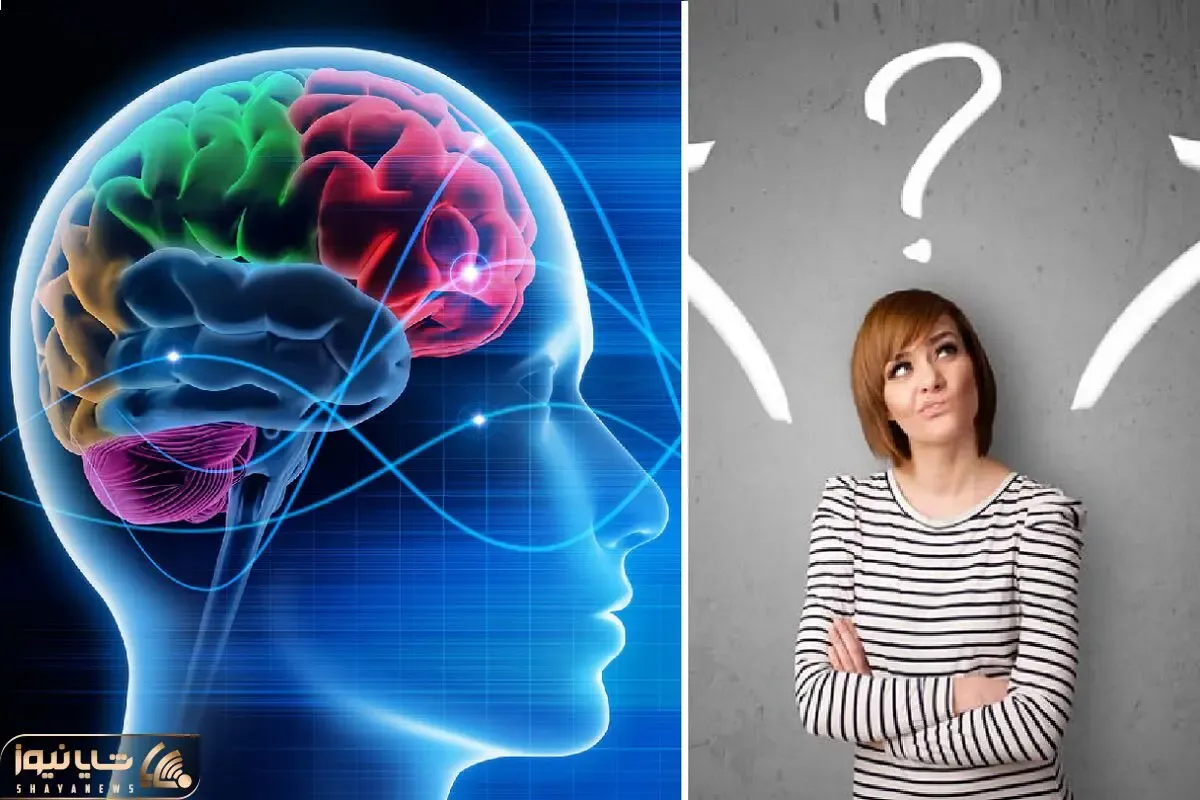 کشفیات تازه؛ چرا برخی افراد مدام تصمیمات اشتباه می‌گیرند؟