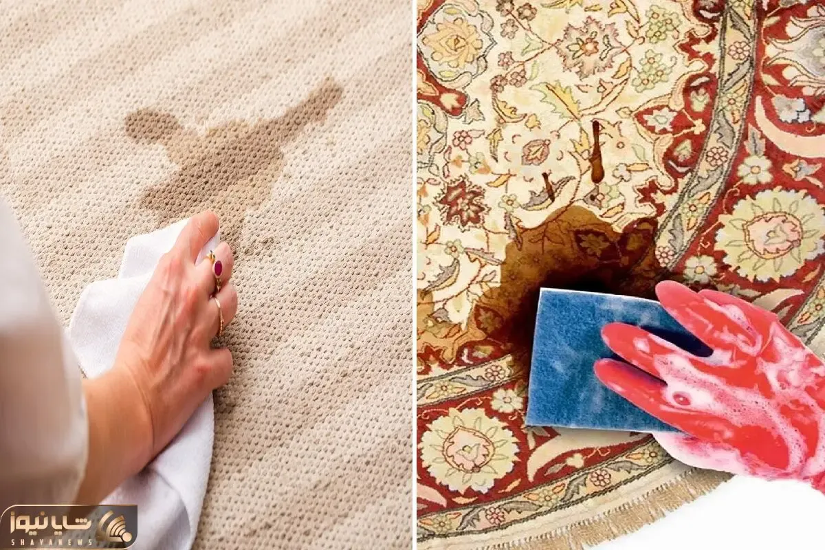 لکه گیری فرش در خانه بدون شستن / بعد عید و مهمون بازیش فرشت لک گرفته با اینا تمیزش کن