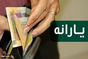 انتقادات از روند پرداخت یارانه جاماندگان؛ معوقات پرداخت می‌شود؟