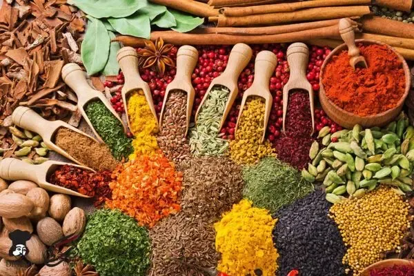 انواع ادویه های مخصوص که در هر غذایی معجزه میکند؟