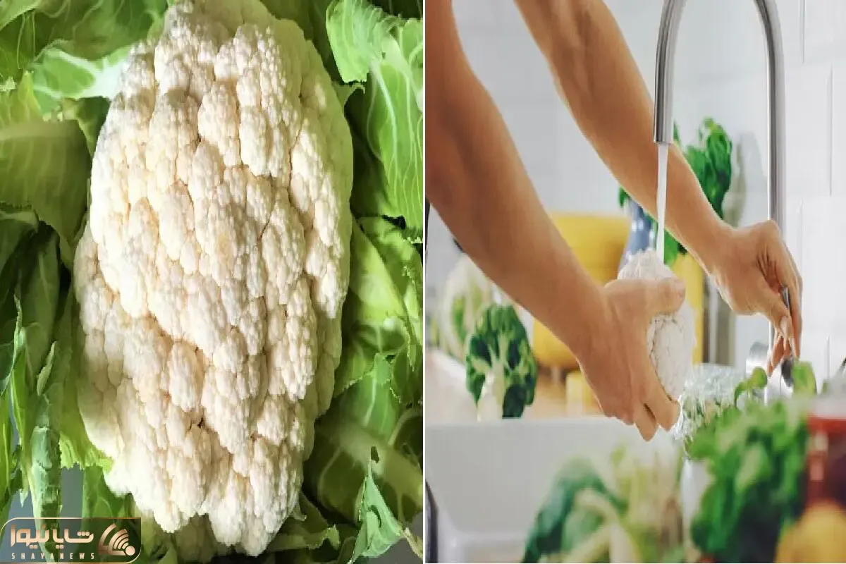 گل‌ کلم رو چطوری بشوریم که همه خاک و گلاش بره؟/ صفر تا صد شستشو و نگهداری از گل کلم