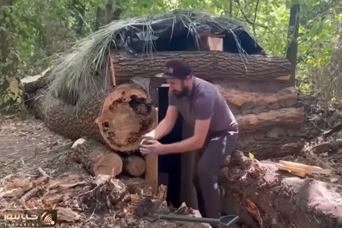 معماری خلاقانه؛ آقا تو جنگل با تنه درختا کلبه ساخته تماشایی به دیوارش تابلو فرش زده