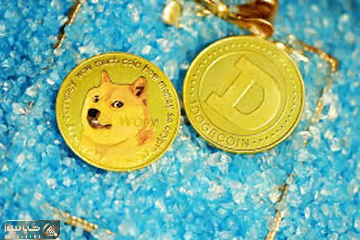 پیش بینی بسیار مهم از دوج کوین؟!