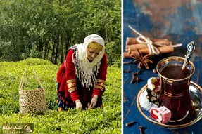 نوشیدن چای در ایران از 150 سال پیش مد شد! قبلش ایرانیان قهوه می‌نوشیدند