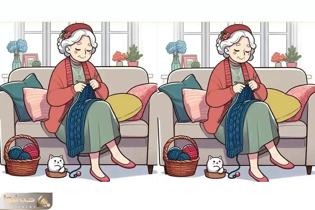 بازی فکری؛ اگه میخوای یک هیچ جلو باشی از باهوشا تفاوت مادر بزرگ بافنده رو پیدا کن