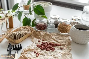 کاشت و برداشت خانگی؛ اینجوری تو خونه بادام زمینی بکارید تا واسه آجیل عید لنگ نمونید