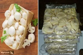 چجوری قارچ رو فریز کنیم بدون سیاه شدن؟ / تا 4 ماه بدون ذره ای لک تو فریزر سفید میمونه