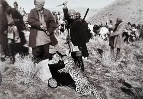سفر به ایام قدیم؛ شکارهایی که در کوه های جاجرود و دوشان تپه صید شصت پادشاهان شد