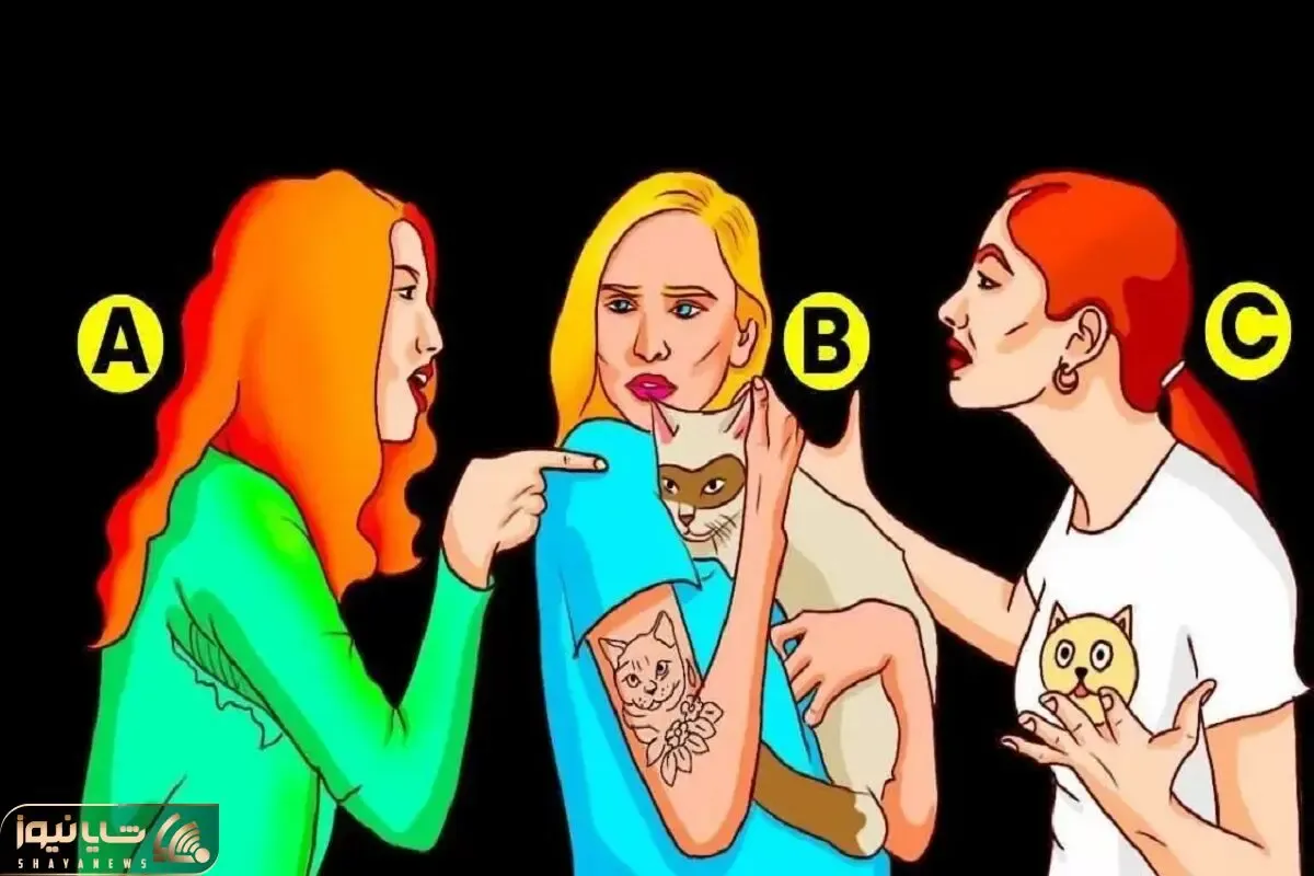 بازی فکری؛ فقط 1% برتر با هوش بصری تونستن صاحب گربه را در 5 ثانیه پیدا کنن