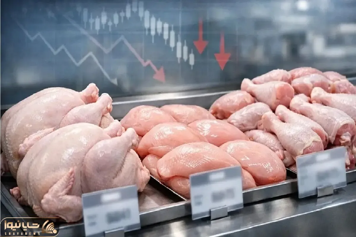 قیمت مرغ امروز دوشنبه ۲۸ اردیبهشت ۱۴۰۵ + جدول
