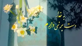 کلیپ و پیام تبریک نیمه شعبان برای استوری اینستاگرام
