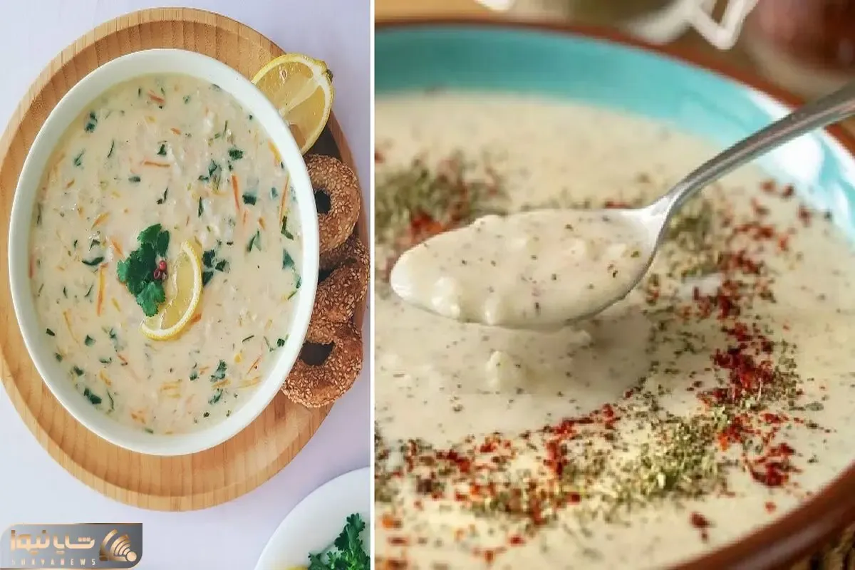 طرز تهیه سوپ ماست با مرغ و شوید / طعم خاص و جذابی که نباید از دستش بدید