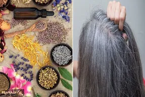 راه های گیاهی پیشگیری از سفید شدن مو / مخصوص اونا که ارثشون بده و موهاشون سن کم سفیده