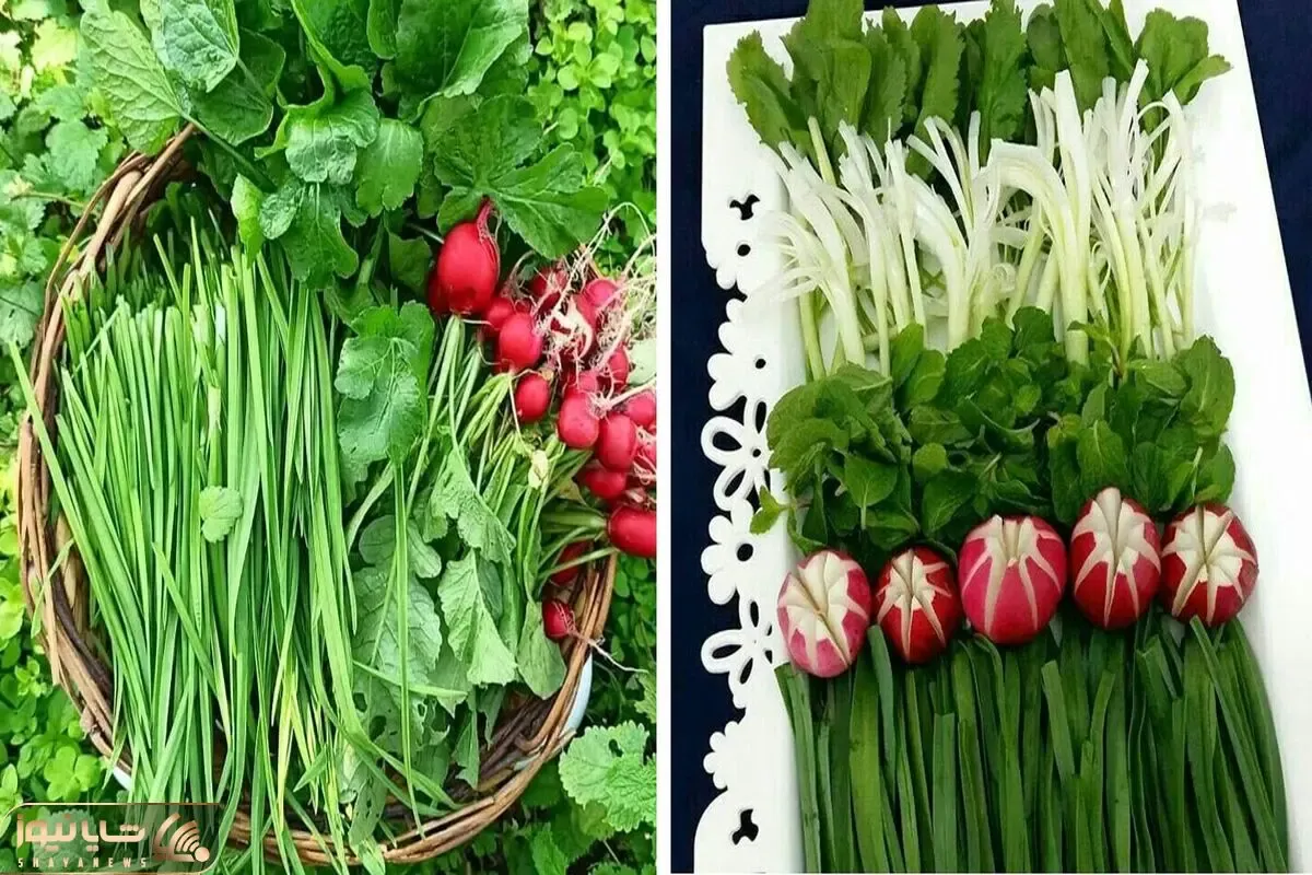 چگونه سبزی خوردن را تا 2 هفته تازه نگه داریم؟ / راهنمای گام به گام برای کیفیت سبزیجات