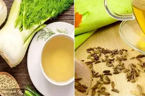 همه چیز درباره رازیانه؛ مزایا و معایب از بالا برد قوای جنسی مردان تا هضم غذا و لاغری