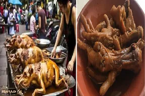 غذاهای خلاقانه؛ 20 غذای عجیب چین از نوزاد زنده مارماهیو هشت پا تا خیار دریایی