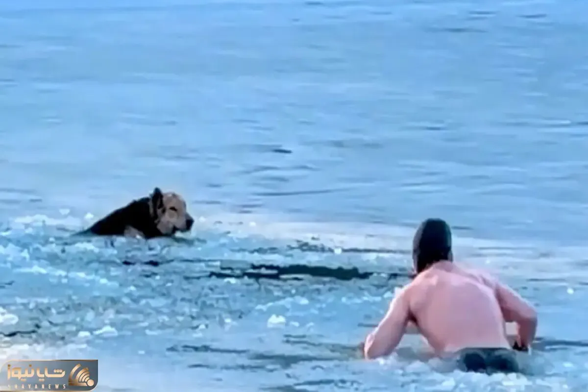 معمار ی طبیعت؛ مرد سگ گیر کرده تو دریاچه یخ رو نجات داد آب سرد چنان بلایی سرش درآوورد