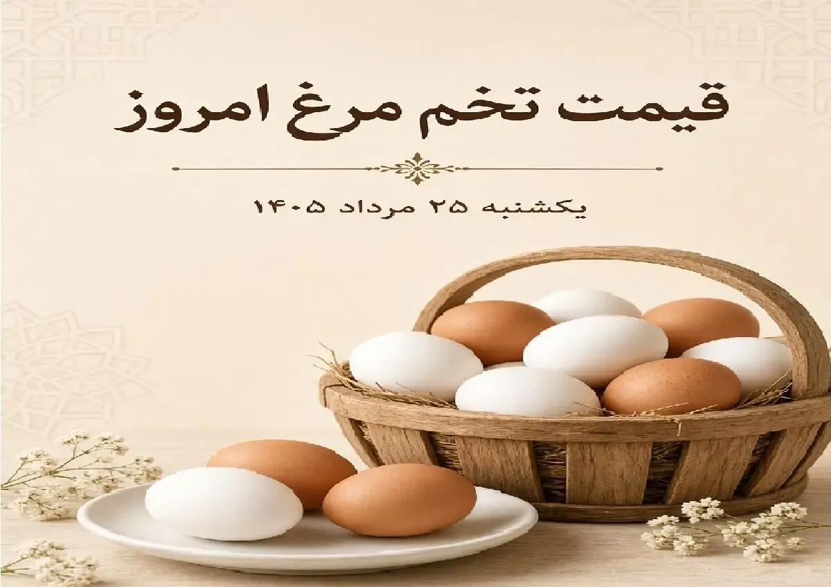 قیمت تخم مرغ امروز یکشنبه 25 مرداد 1405 /تخم مرغ شانه ای چند؟ + جدول