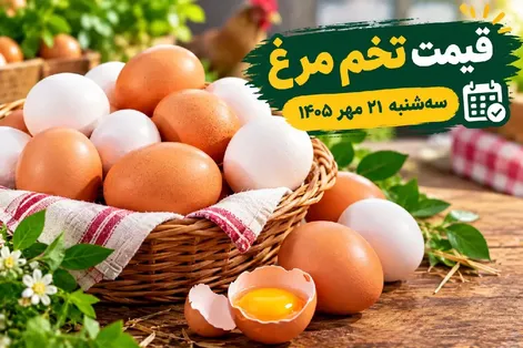 قیمت تخم مرغ امروز سه شنبه 21 مهر 1405 / کدام شانه ها گران شدند؟