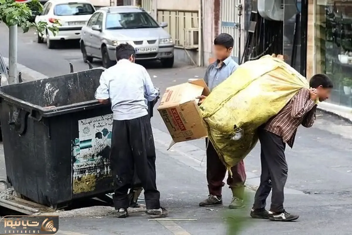 درآمد خالص یک زباله گرد در تهران شبی چقدر است؟