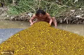 معماری طبیعت؛ مرد از رو بیکاری میره گل و لای رو میگرده چه طلاهایی پیدا میکنه