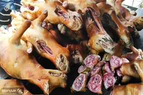 کباب سگ؛ سگ نازنازی بعد سربریدن بریونی و مثله کردن کله پاچه شو فروخت به مردم