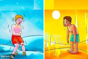 بازی فکری؛ فقط با دقت بگویید کدام یک نجات پیدا می کند