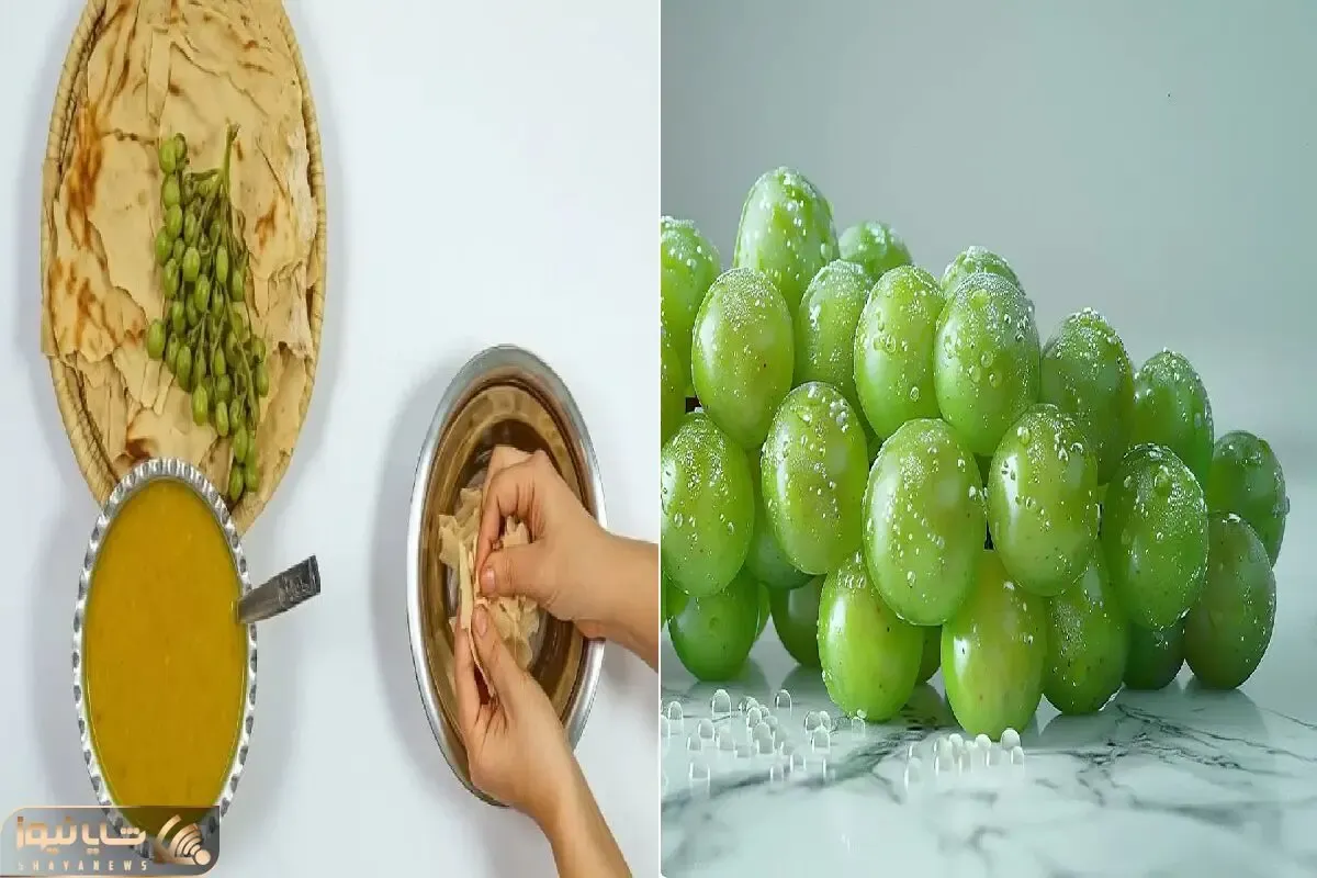 قلیه غوره؛ طعم اصیل و ترش جنوب ایران در قابلمه شما/ صفر تا صد مراحل پخت برای مبتدیا