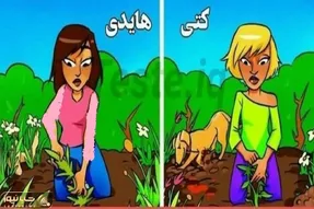 تست هوش تصویری؛ اگه آیکیوت سربه فلک میکشه بگو کدوم از خانما قاتله همسرشه؟