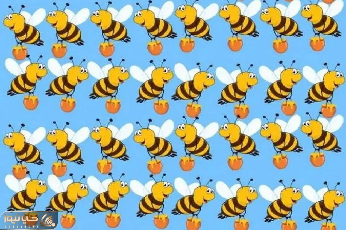بازی فکری؛ هیچوقت آلزایمر نمیگیری اگه زنبور عسل طلایی جاسوس رو پیدا کنی